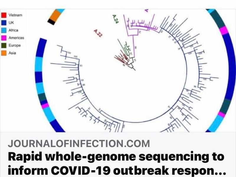Vai trò của giải mã nhanh trình tự toàn bộ bộ gen virus (Rapid whole-genome sequencing) trong đáp ứng phòng chống dịch COVID-19 tại Vietnam