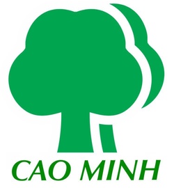 Cao Minh